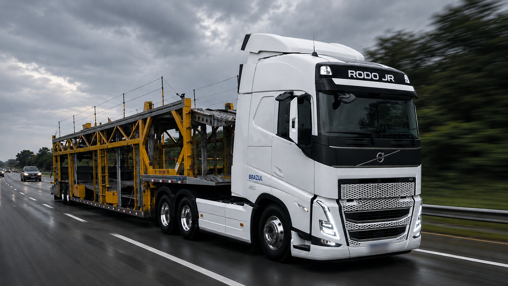 Frota TR Junior cegonha carregada